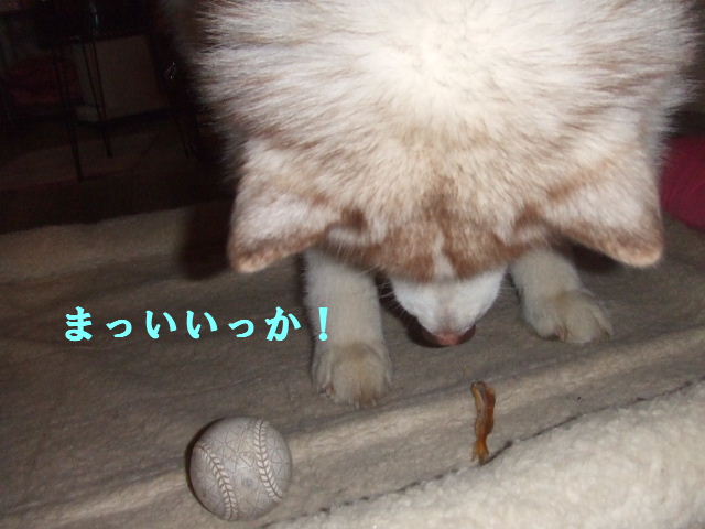 e0121548_20151832.jpg