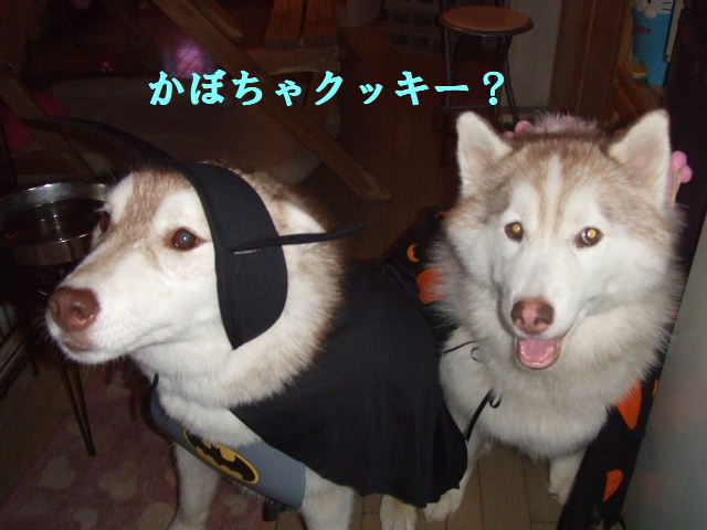 e0121548_2084731.jpg