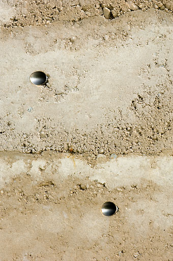 d0079151_317572.jpg