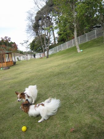 c0074156_11523870.jpg