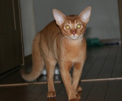 d0008256_2323930.jpg
