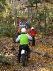 b0086858_213322.jpg