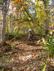 b0086858_2133443.jpg