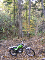 b0086858_2141797.jpg