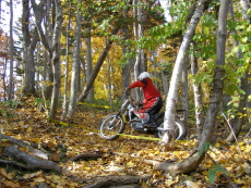 b0086858_2144896.jpg