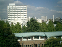 b0013376_1445553.jpg