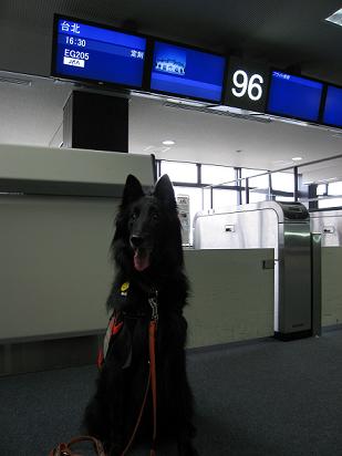 c0052779_2047196.jpg