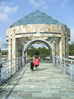 c0052779_21163541.jpg
