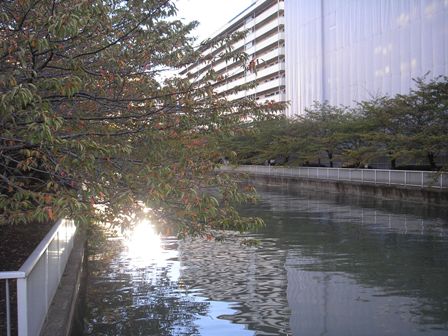 f0046380_231308.jpg