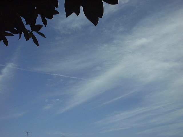 f0039281_1642146.jpg
