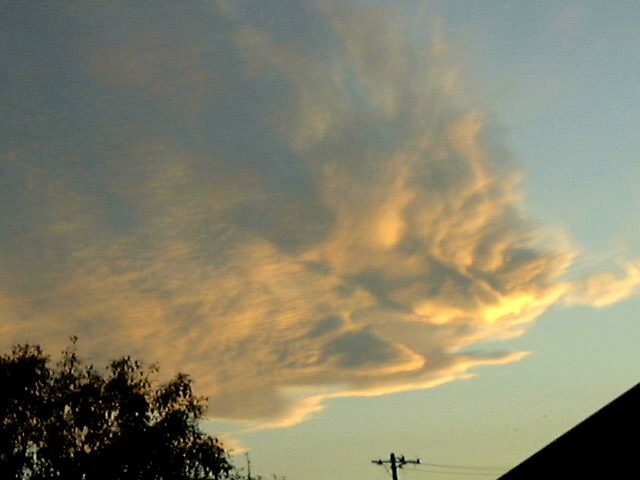 f0039281_1644020.jpg