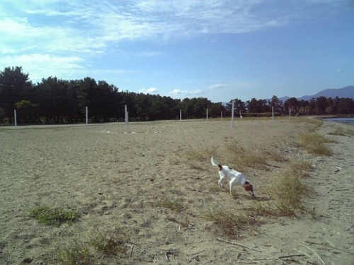f0133681_22444586.jpg