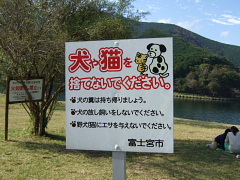b0104592_14255244.jpg