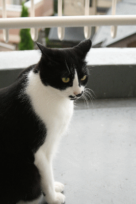 d0100192_22173839.gif