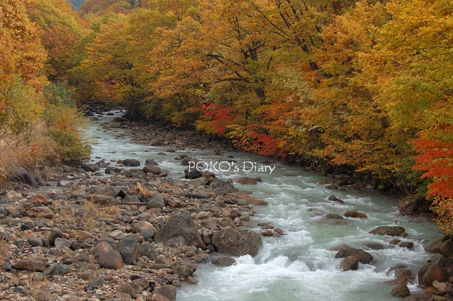 c0134295_2328799.jpg