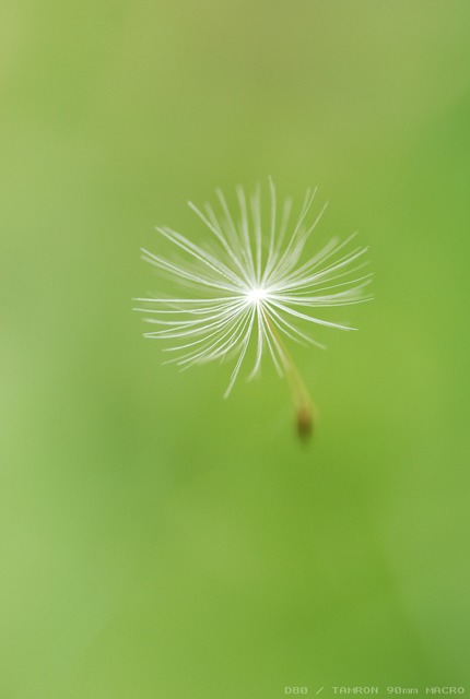 a0062697_2328125.jpg