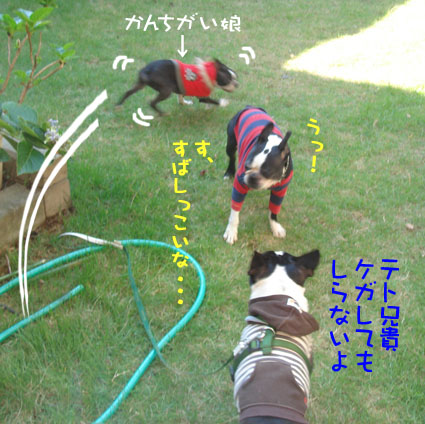 c0094999_217051.jpg