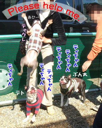 c0094999_321376.jpg