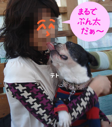 c0094999_345938.jpg