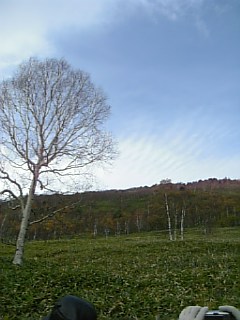 b0101300_13135332.jpg