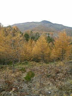 b0101300_13141628.jpg