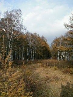 b0101300_13142765.jpg