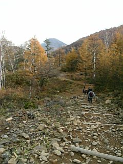 b0101300_1314350.jpg