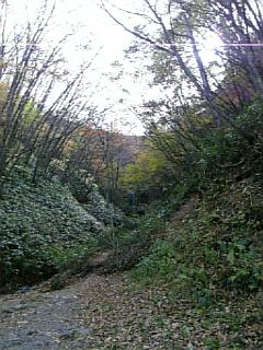 b0101300_1355310.jpg