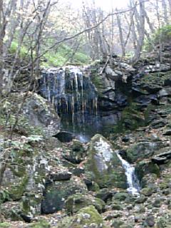 b0101300_1362572.jpg