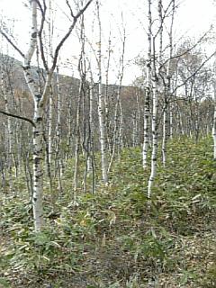 b0101300_1375117.jpg