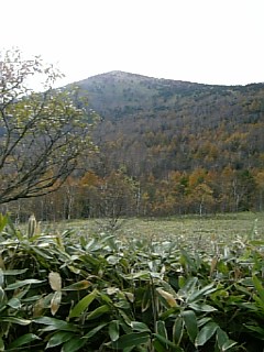 b0101300_138295.jpg