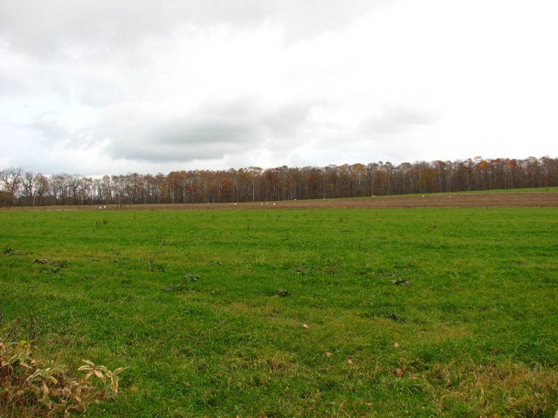 f0020302_215289.jpg