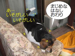 d0104209_22263296.jpg