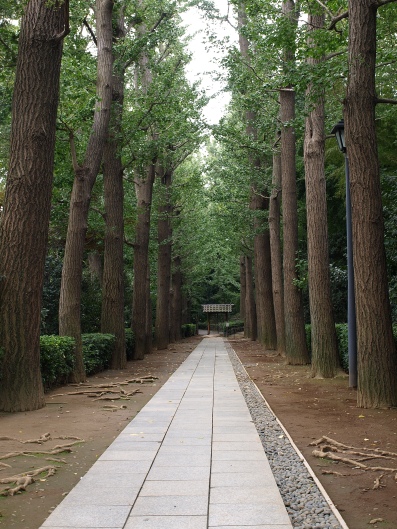 e0083212_16222671.jpg