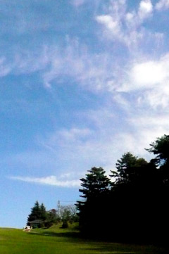 e0083517_0144926.jpg