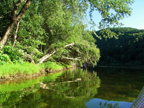 c0143119_16483138.jpg
