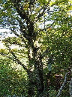 e0002820_8155175.jpg
