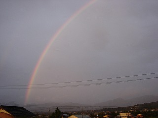 f0054421_84384.jpg