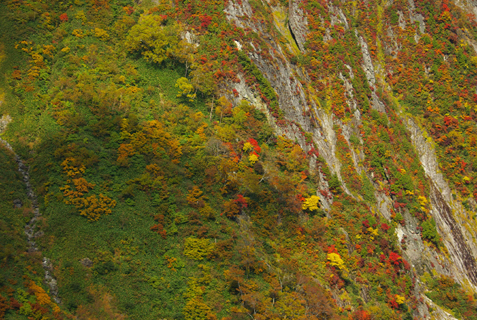 b0062024_20384180.jpg
