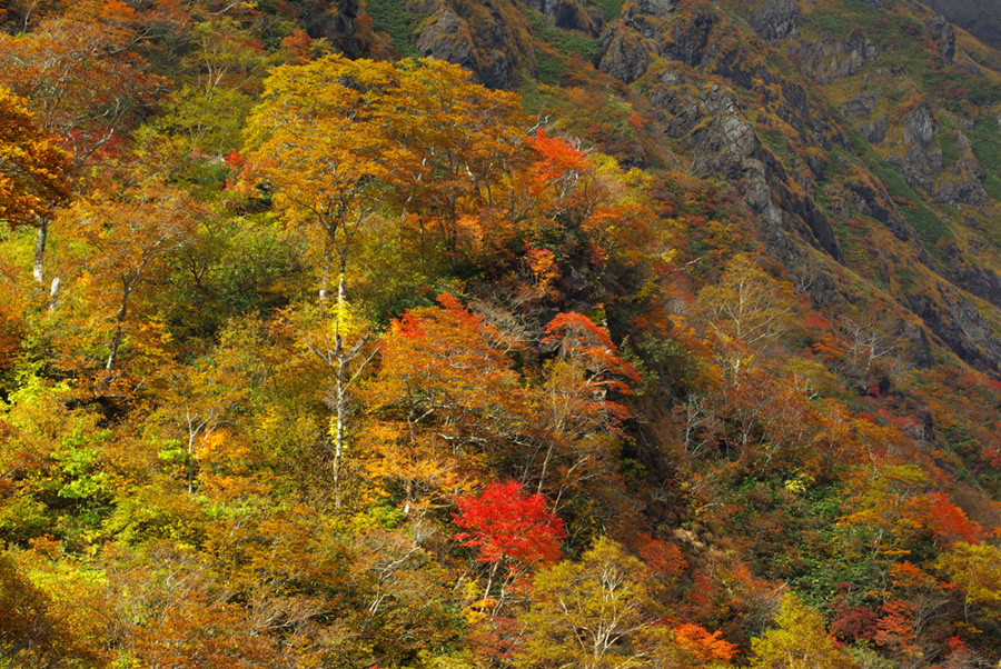 b0062024_20425714.jpg