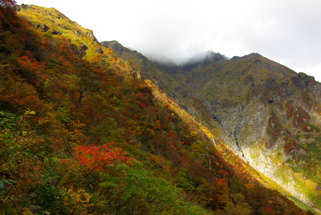b0062024_20465198.jpg