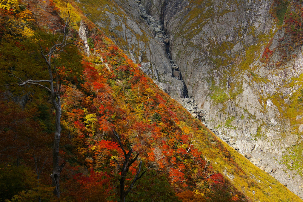 b0062024_20485668.jpg