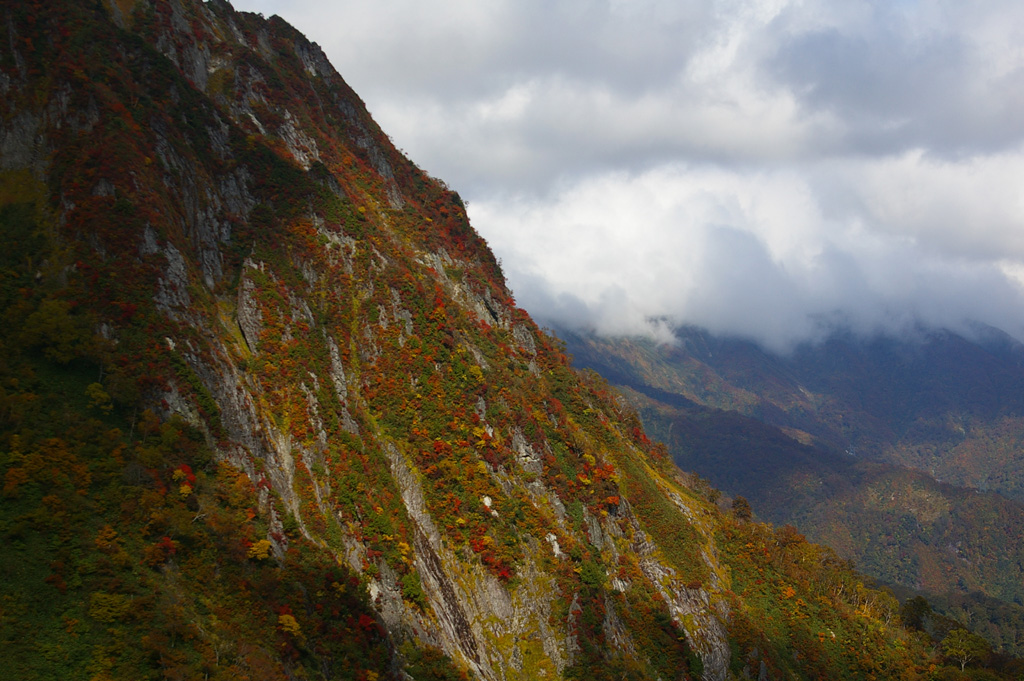 b0062024_20494798.jpg