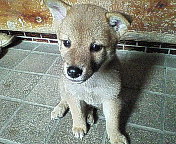 e0018024_2127315.jpg