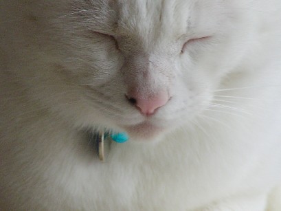 f0002833_1733132.jpg