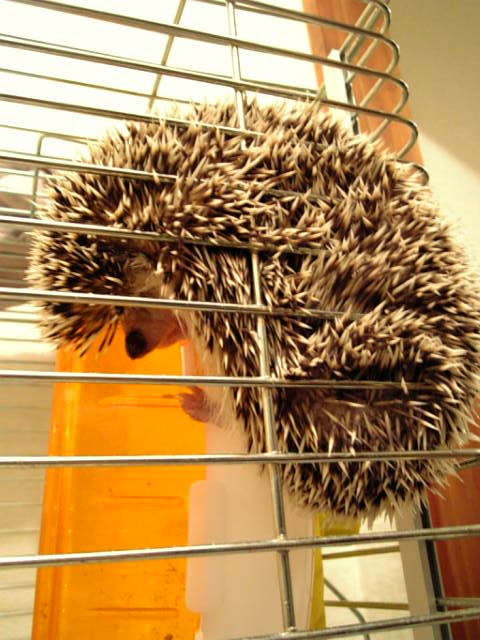 f0154033_16432630.jpg