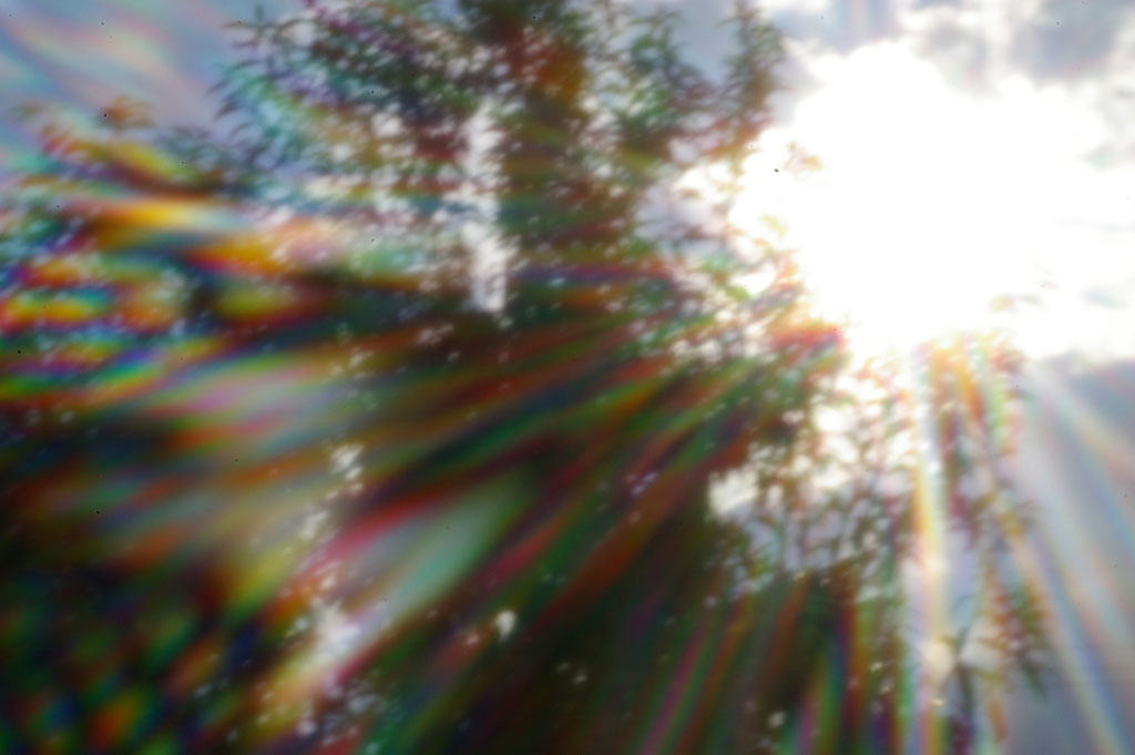 c0131034_2202394.jpg