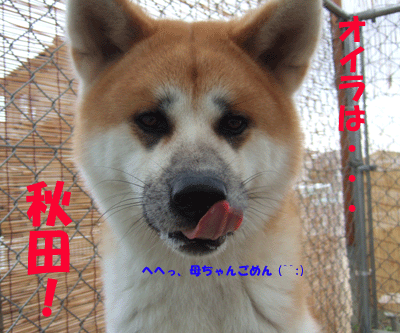 f0008935_12334652.gif