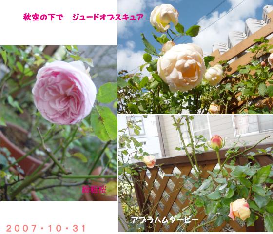 d0020136_10484299.jpg