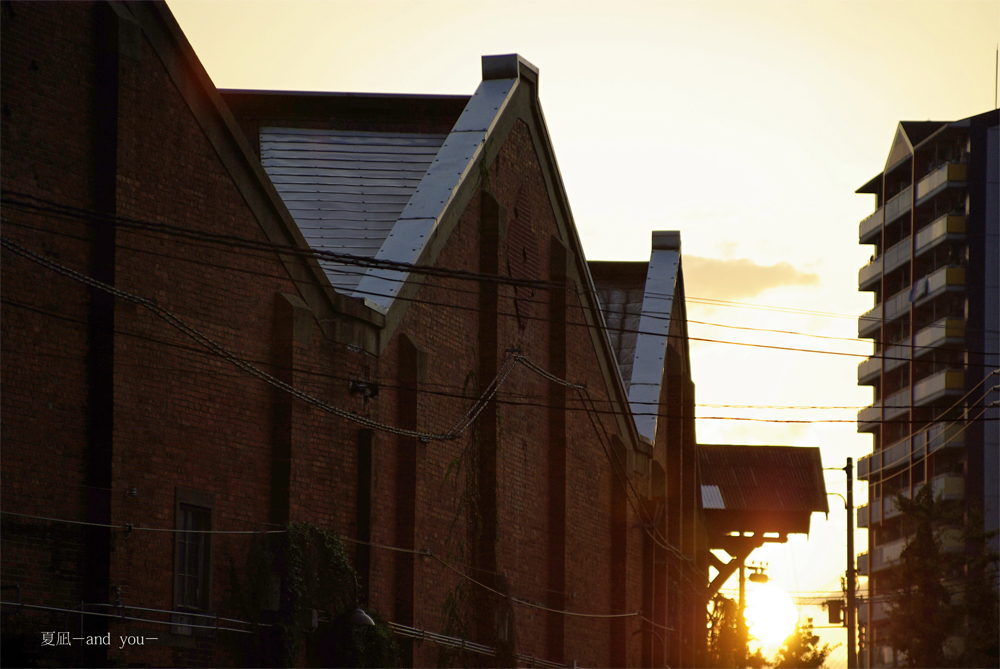 c0121738_814324.jpg